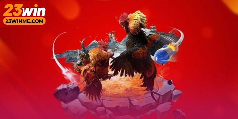 Thông tin chi tiết về trận đấu đá gà tại 23Win